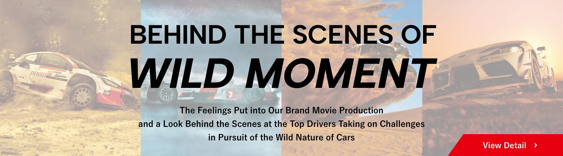 BEHIND THE SCENES OF WILD MOMENT